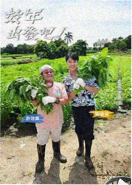 向往的生活